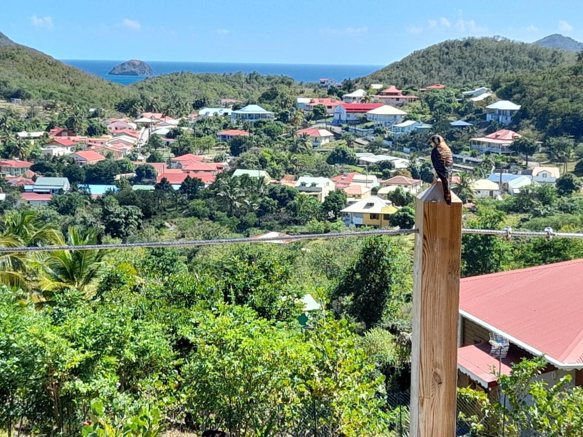 Ti Kaz Anoli Vue Epoustouflante Sur La Baie Villa Terre-de-Bas Екстериор снимка